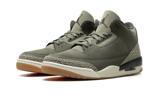 Air Jordan 3 Family Affair DN3707 202