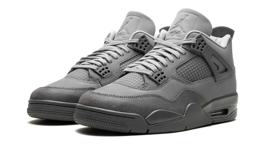 Air Jordan 4 2