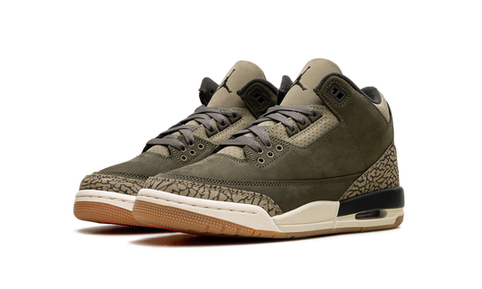 Air Jordan 3 GS Family Affair DM0967 202