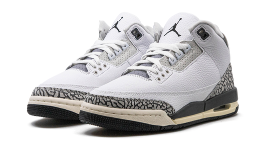 Air Jordan 3 GS Hide N Sneak DX6665 100