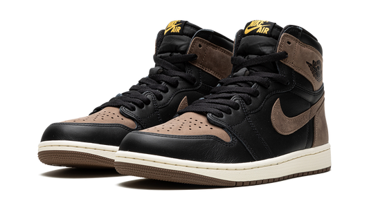 Air Jordan 1 Retro High OG Palomino DZ5485 020