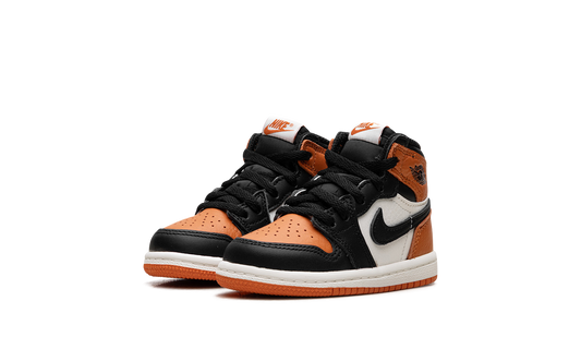 Air Jordan 1 Retro High OG TD Shattered Backboard FD1413 008