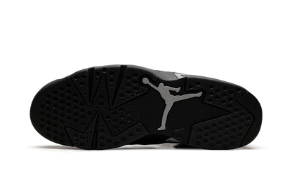 Air Jordan 6 5