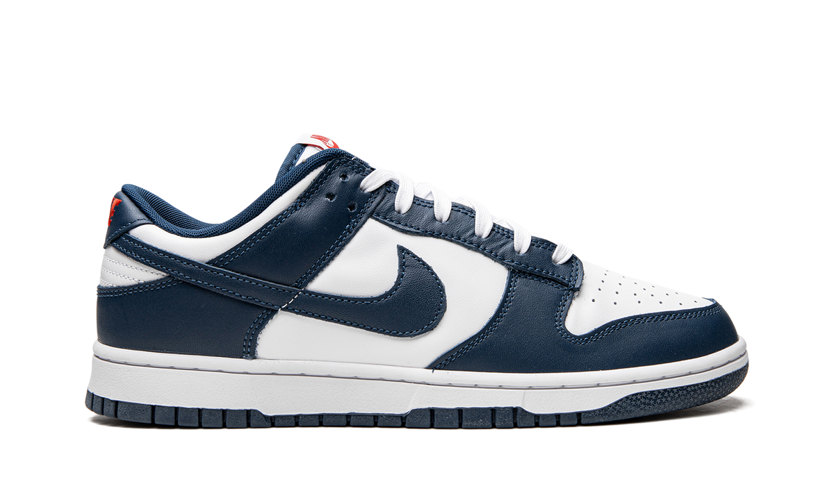 Dunk Low Retro 6F