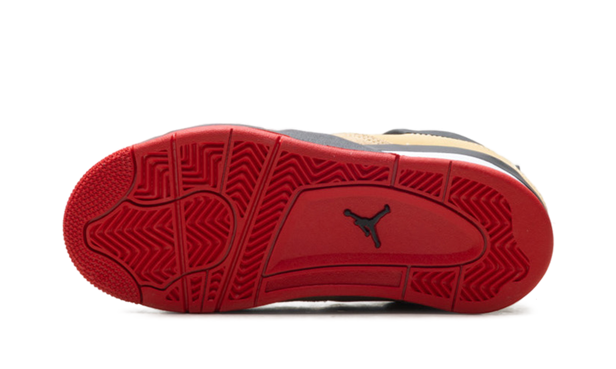 Air Jordan 4 Retro PS 5