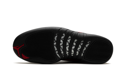 Air Jordan 12 5