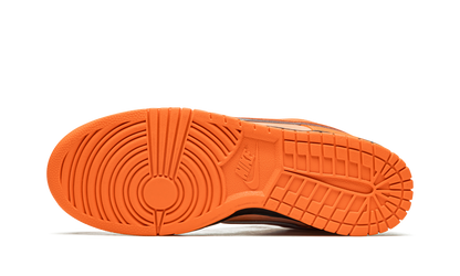SB Dunk Low 5