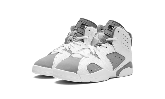 Air Jordan 6 PS Cool Grey DV3605 100