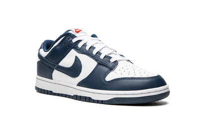 Dunk Low Retro 7FS