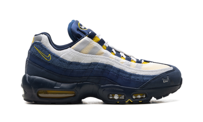 SB Air Max 95 6F