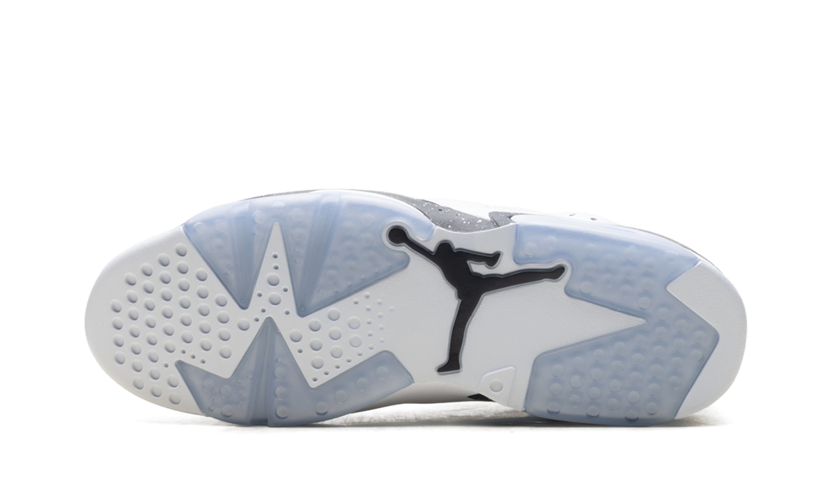 Air Jordan 6 5