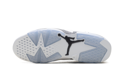 Air Jordan 6 5