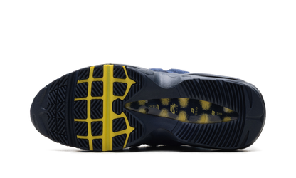 SB Air Max 95 5