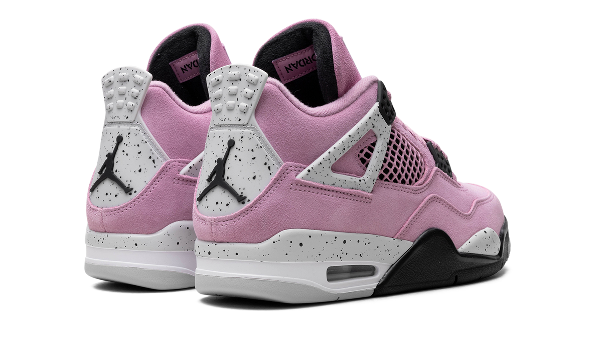Air Jordan 4 WMNS 3
