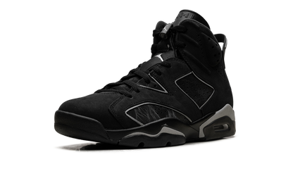 Air Jordan 6 4