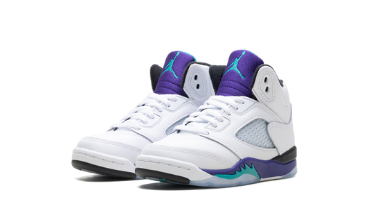 Air Jordan 5 Retro PS Grape HQ7979 100